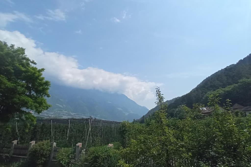 Apartment Ferdy Рабла Екстер'єр фото